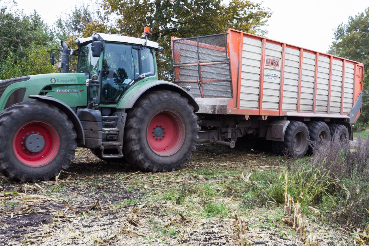 Bild 43 - Maisernte am 22.10.12